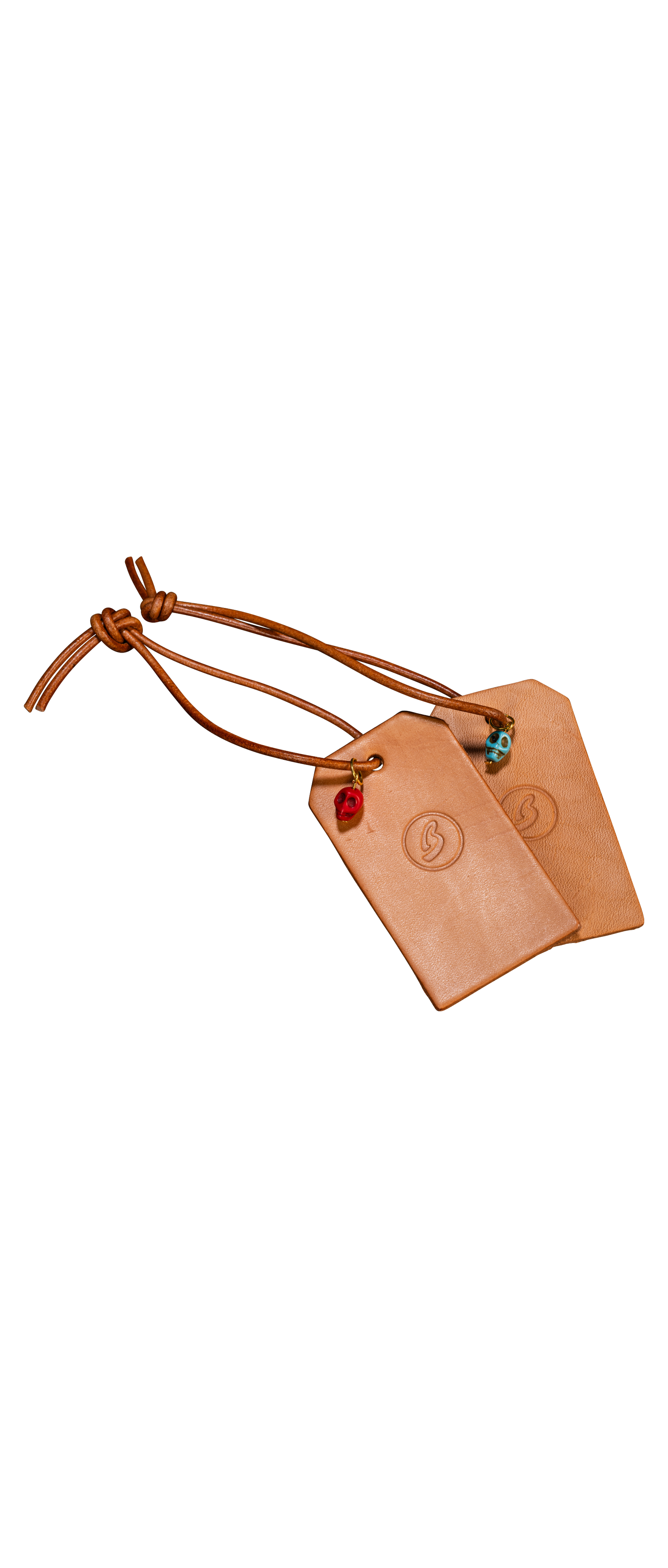 Breedlove Luggage Tag