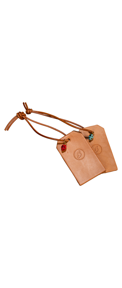 Breedlove Luggage Tag