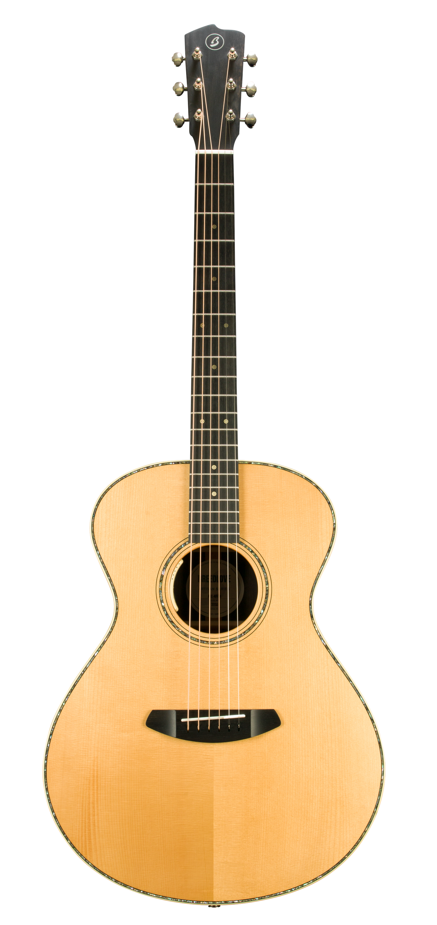 ARTISAN Concert ARC-ARVTe