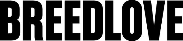 Breedlove Guitars