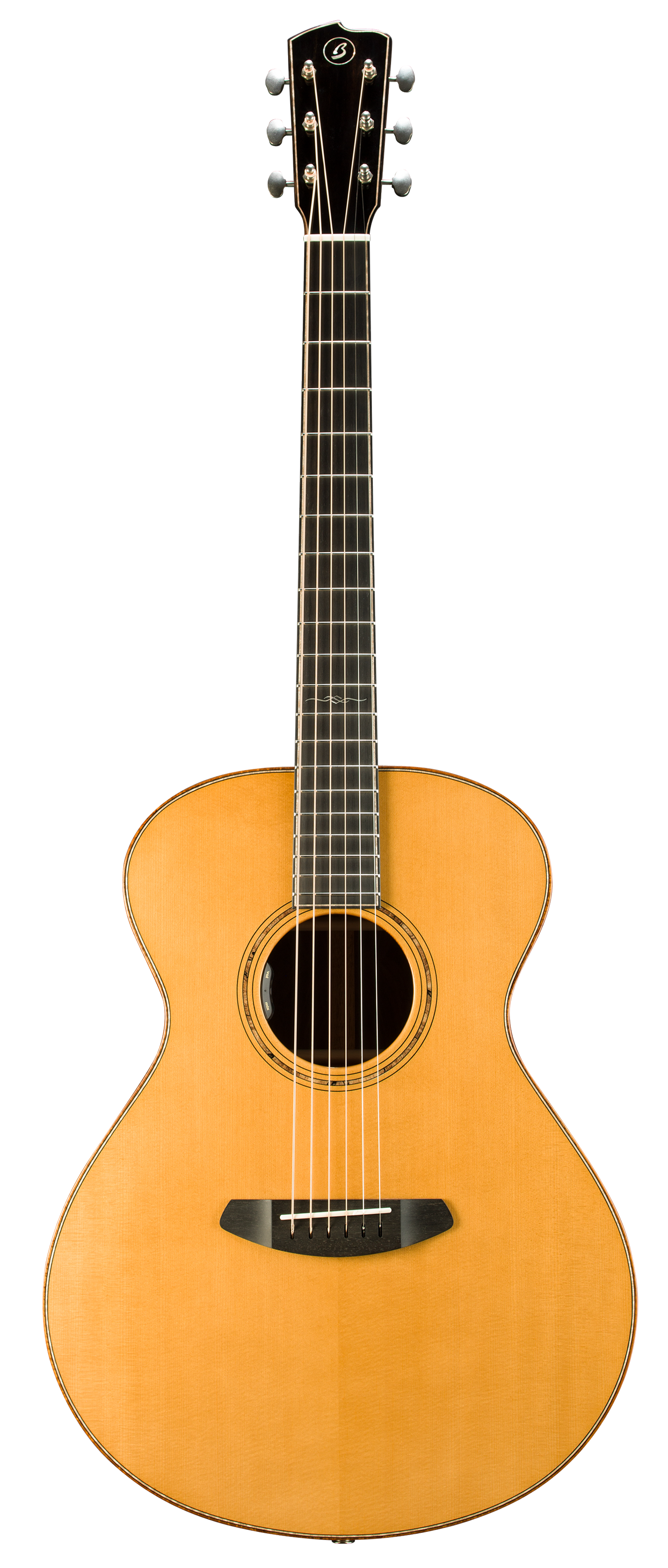 COLLECTOR Concert COC-ERVTe