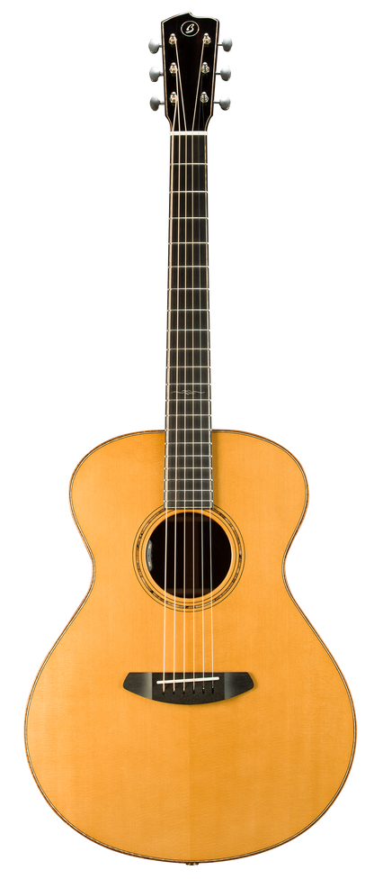 COLLECTOR Concert COC-ERVTe