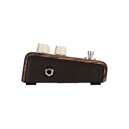 LR Baggs Align Series Chorus