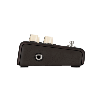 LR Baggs Align Series Delay