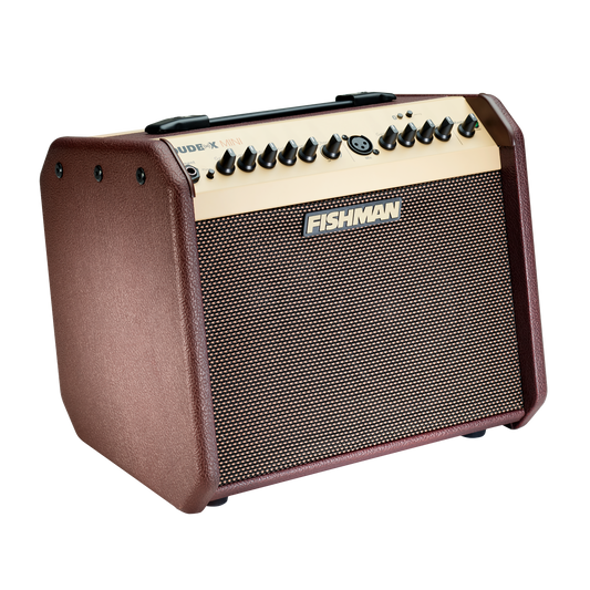 Fishman Loudbox Mini Amp Fishman Loudbox Mini Amp