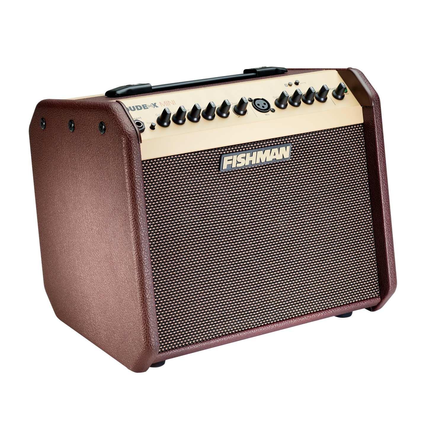 Fishman Loudbox Mini Amp