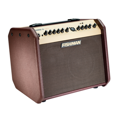 Fishman Loudbox Mini Amp