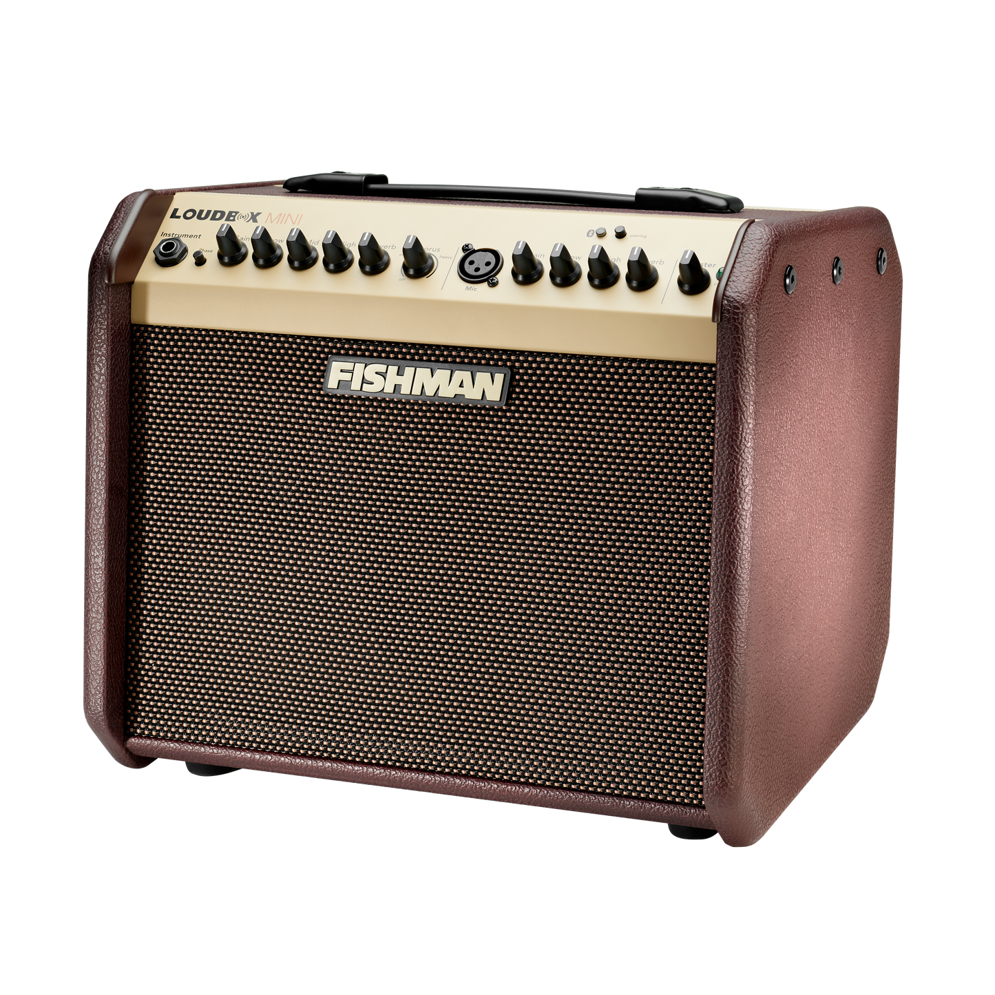 Fishman Loudbox Mini Amp