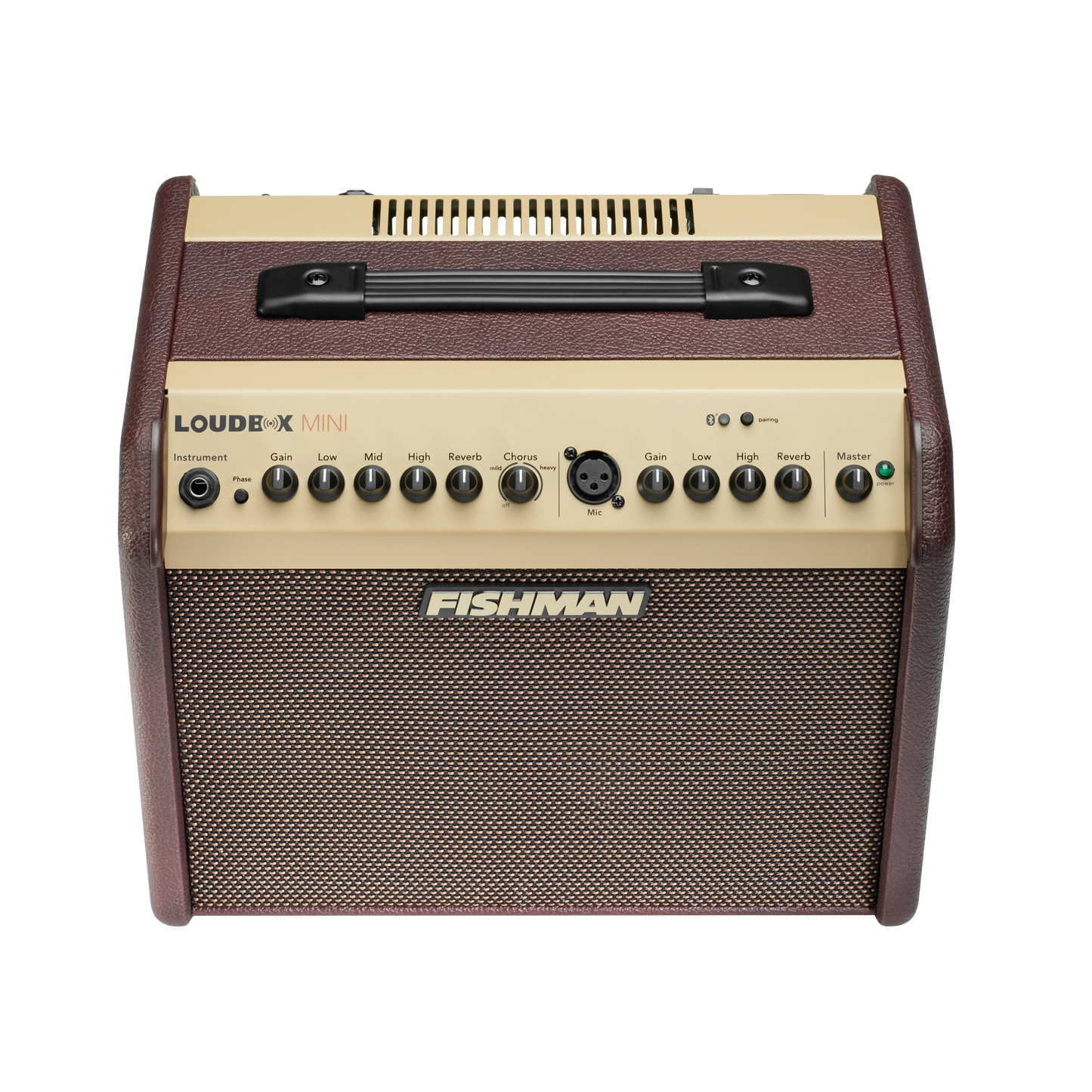 Fishman Loudbox Mini Amp