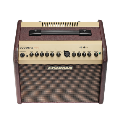 Fishman Loudbox Mini Amp