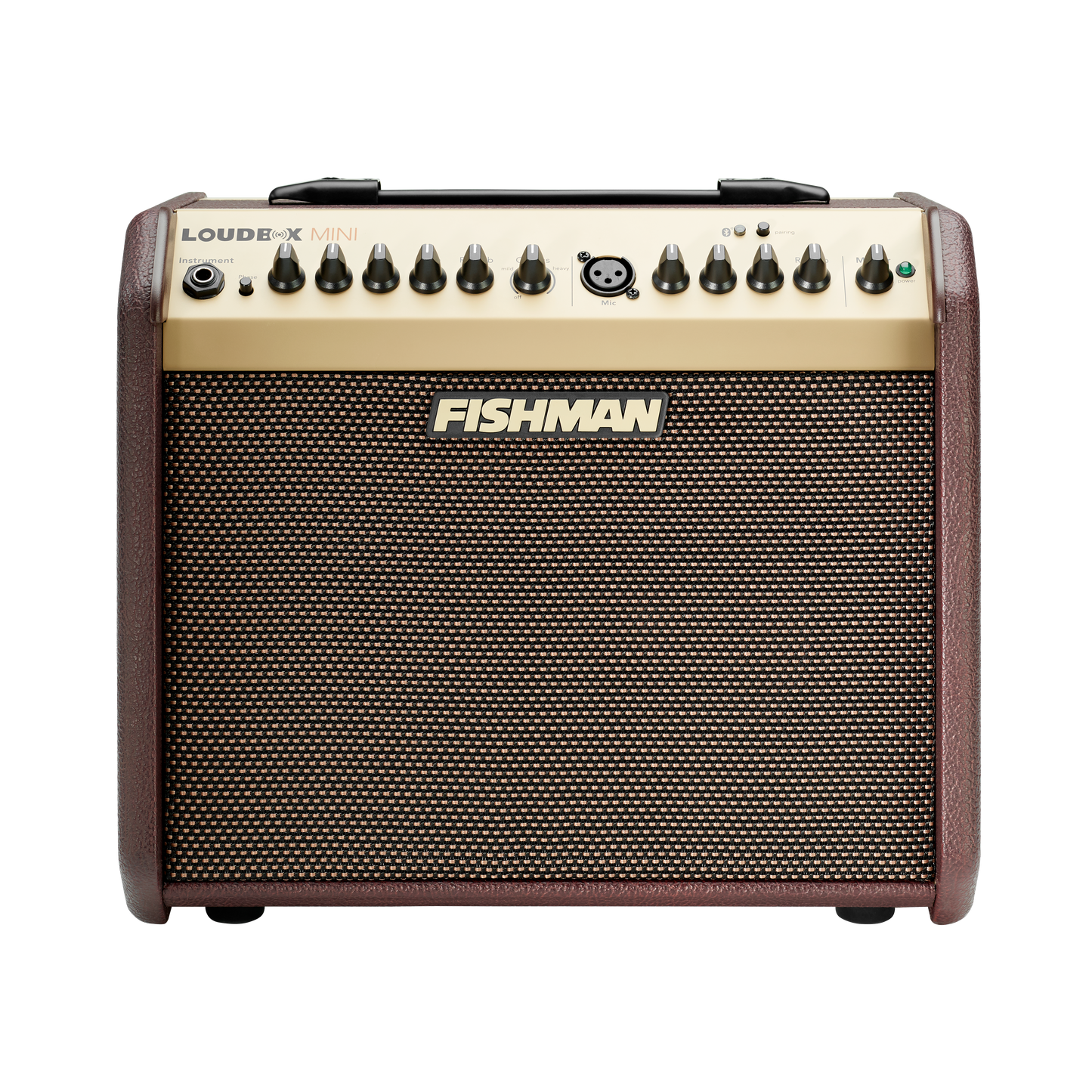 Fishman Loudbox Mini Amp