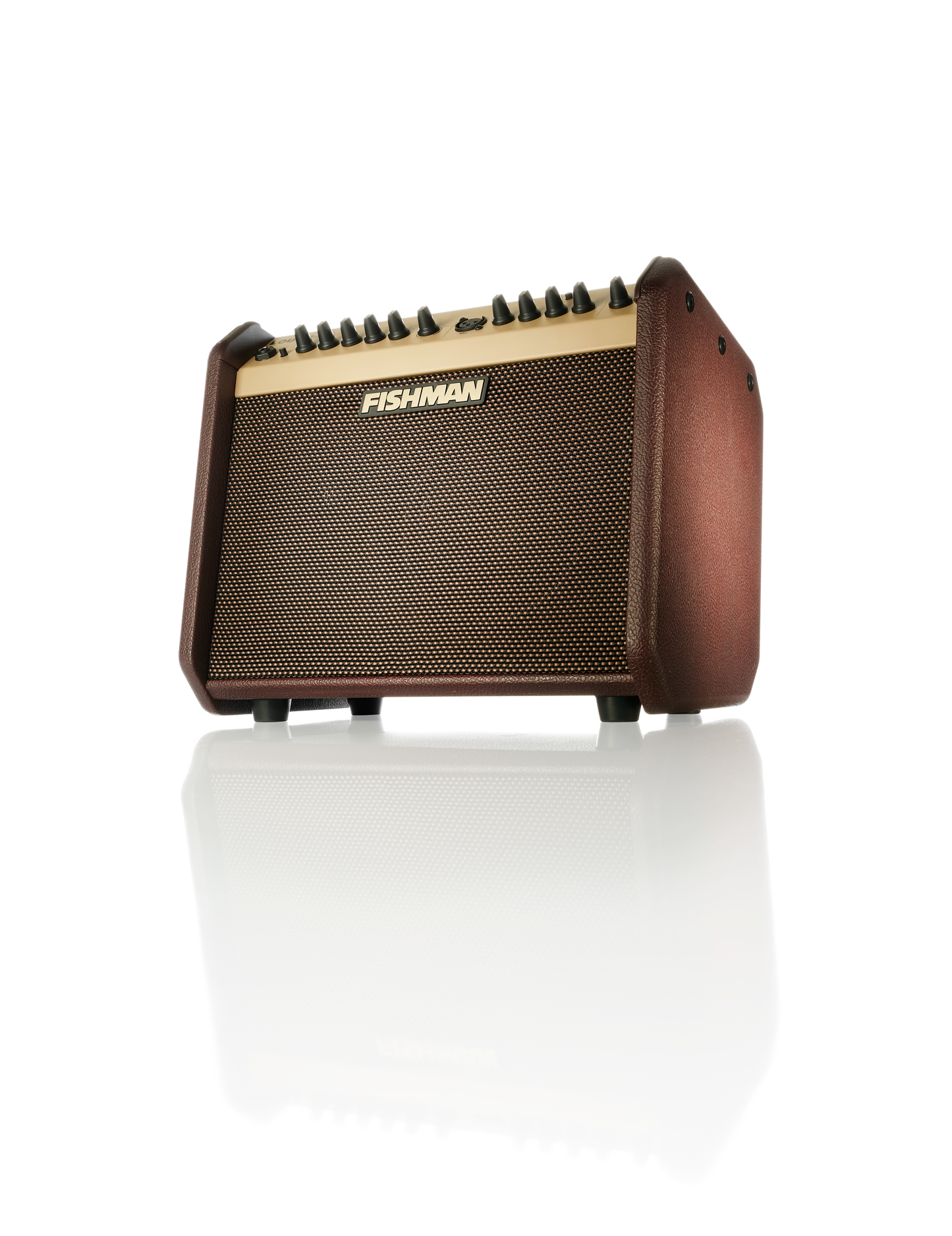 Fishman Loudbox Mini Amp