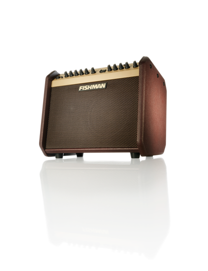 Fishman Loudbox Mini Amp