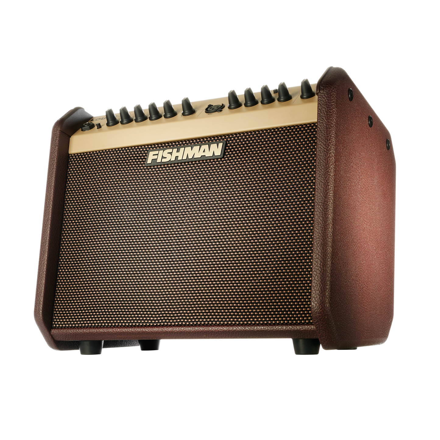 Fishman Loudbox Mini Amp