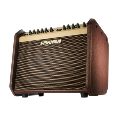 Fishman Loudbox Mini Amp